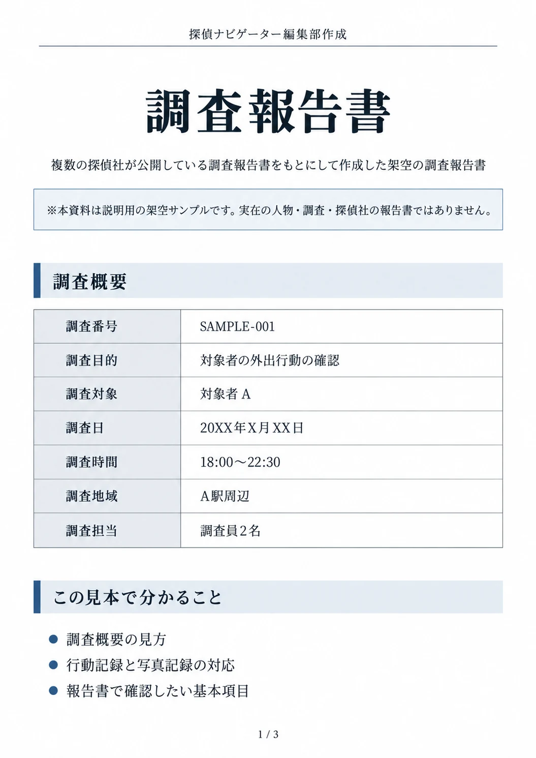 架空の浮気調査報告書の見本1ページ目・調査概要